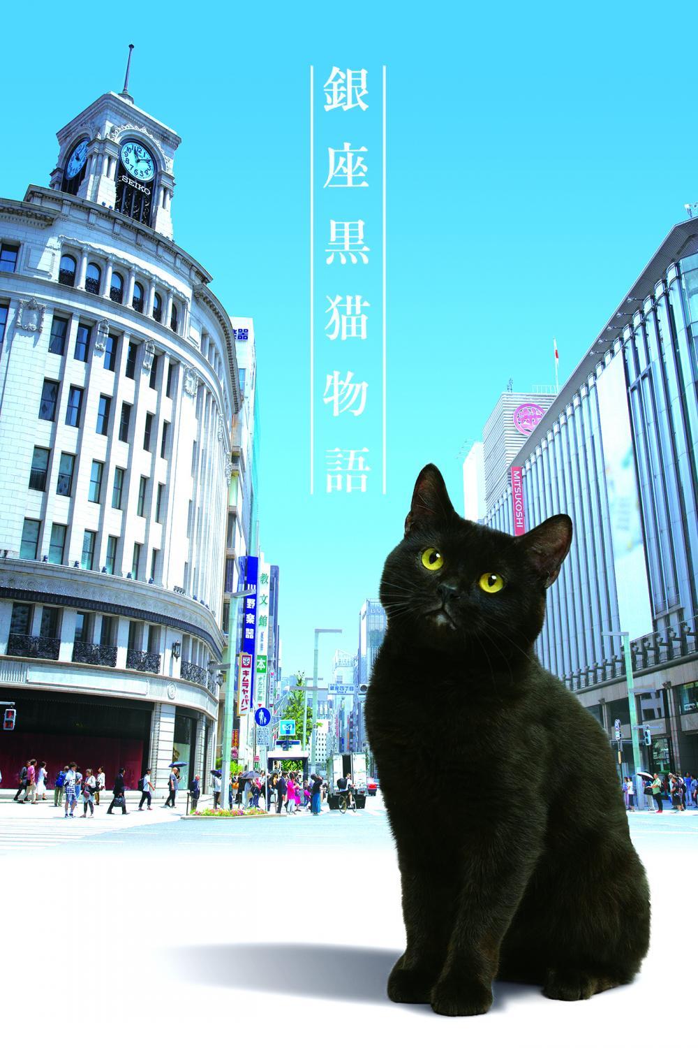 銀座黒猫物語 | ソニー・ピクチャーズ公式